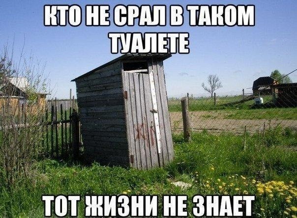 Смешные картинки с надписями