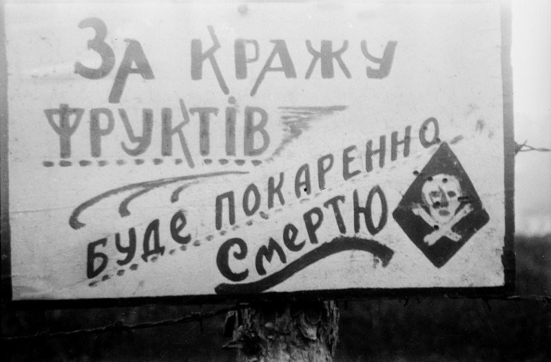 Украине, 1943 год