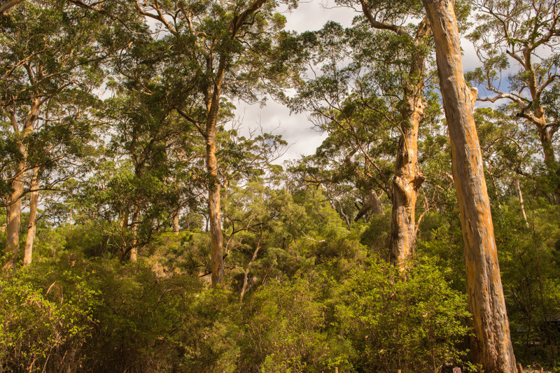 Margaret River. Австралия