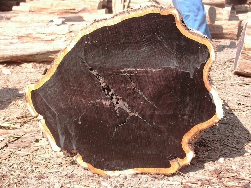 10. Гренадил (африканское чёрное дерево) – 10 000 долларов за килограмм