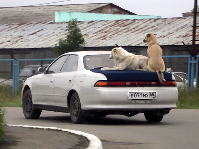 Автомобильные фотоприколы