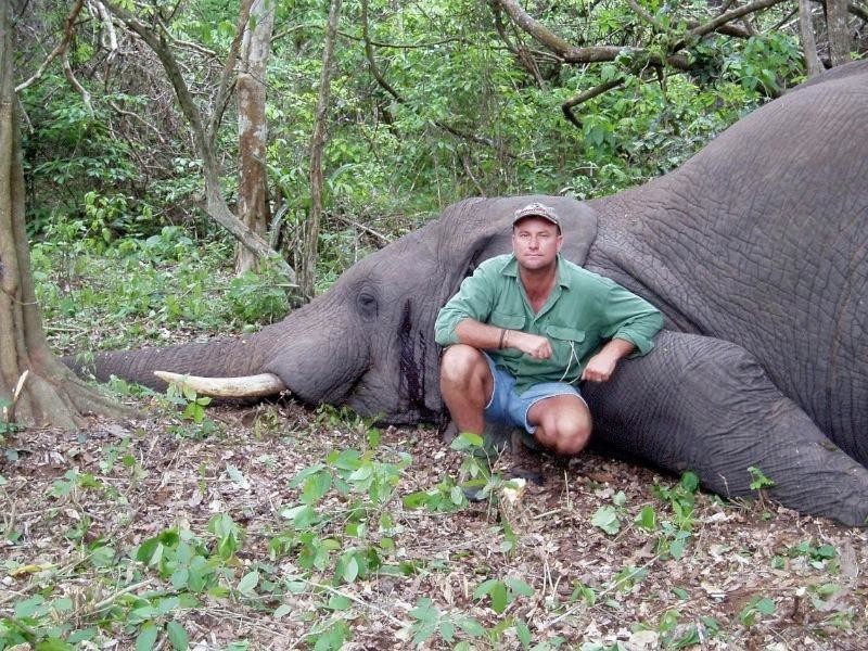 Во время сафари умирающая слониха раздавила охотника