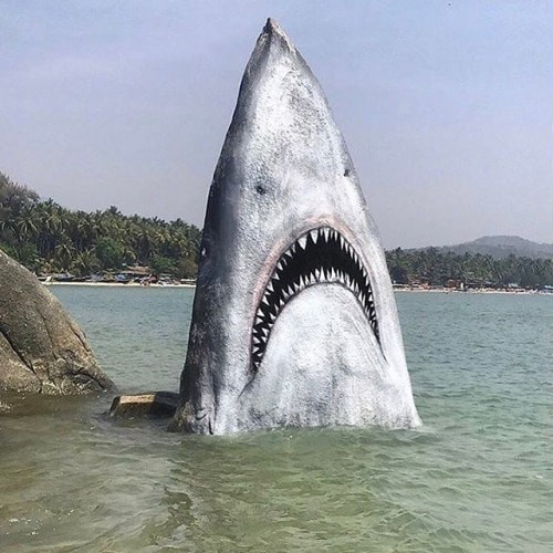 Раскрашенная скала, которую издали можно принять за акулу