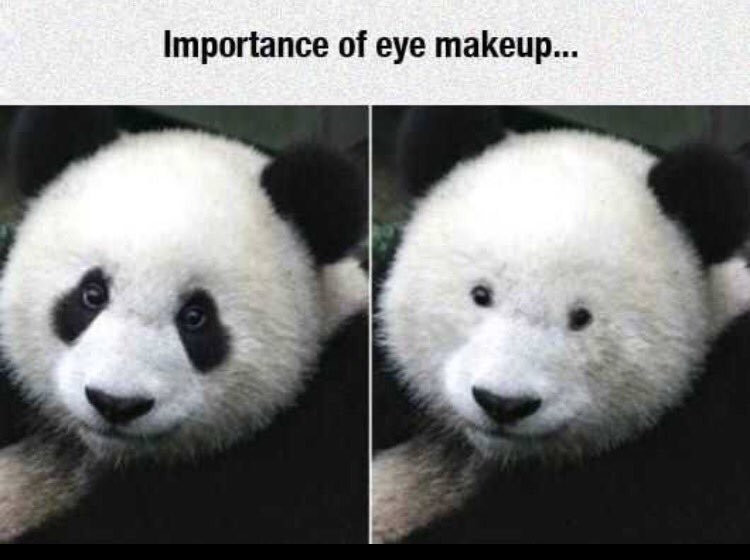 Если бы панды пользовались макияжем