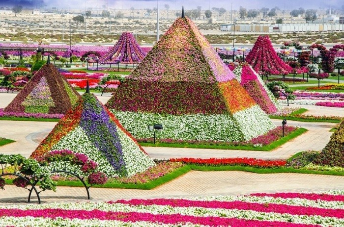 Сад чудес и восхищения в Дубае
