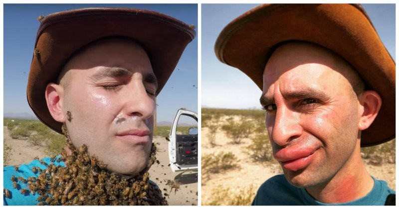 Исследователь дикой природы попытался сделать себе бороду из 3000 пчел 