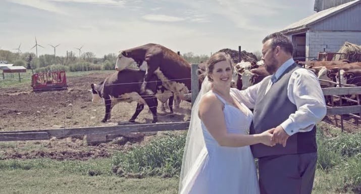 Озабоченный бык испортил молодожёнам свадебную фотографию