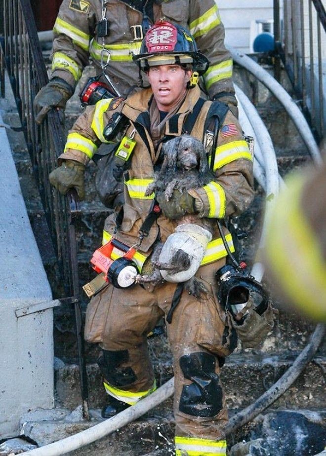 Пожарный Рэй Спеллмайер выносит пуделя Джозефа из горящего здания