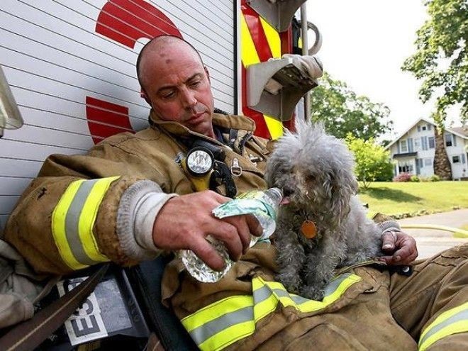 Пожарный с собакой, спасенной им из горящего дома в Коннектикуте