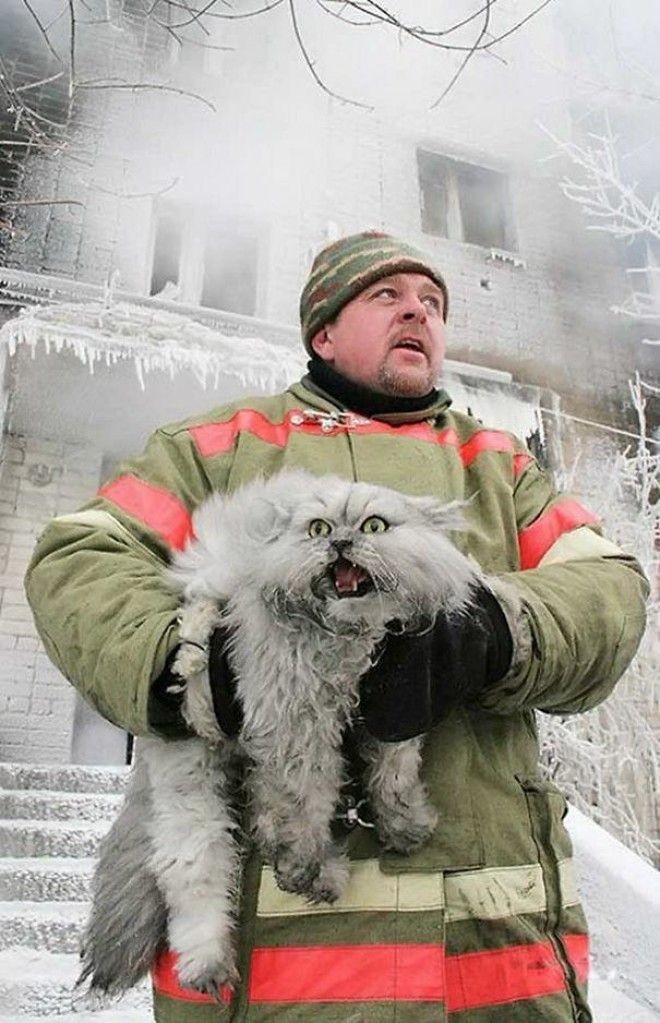 . Российский спасатель вытащил кота из горящего дома.