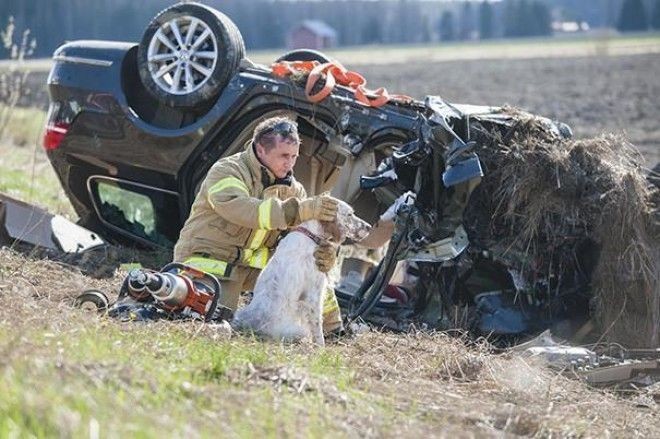  Пожарный обнимает собаку после автокатастрофы