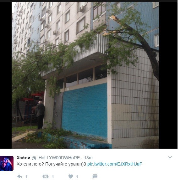 Унесенные ветром: фото и видео московского апокалипсиса