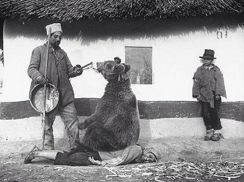14. Массаж спины прирученным медведем. Румыния, 1940-й.