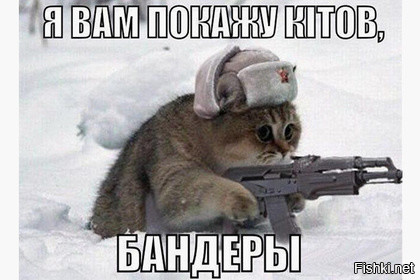 Крымчане предложили сделать новым символом полуострова кота по имени Ватник