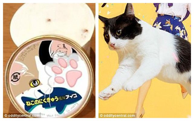 Организаторы японской выставки домашних животных 2017 Japan Pet Fair создали мороженое, повторяющее текстуру и аромат кошачьей лапки