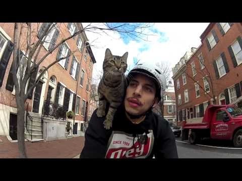 Котик довольно известный,но в этом видео мне нравится музончик,прямо в тему,т... 