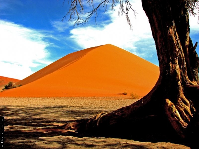 Пустыня Намиб (Намибия)