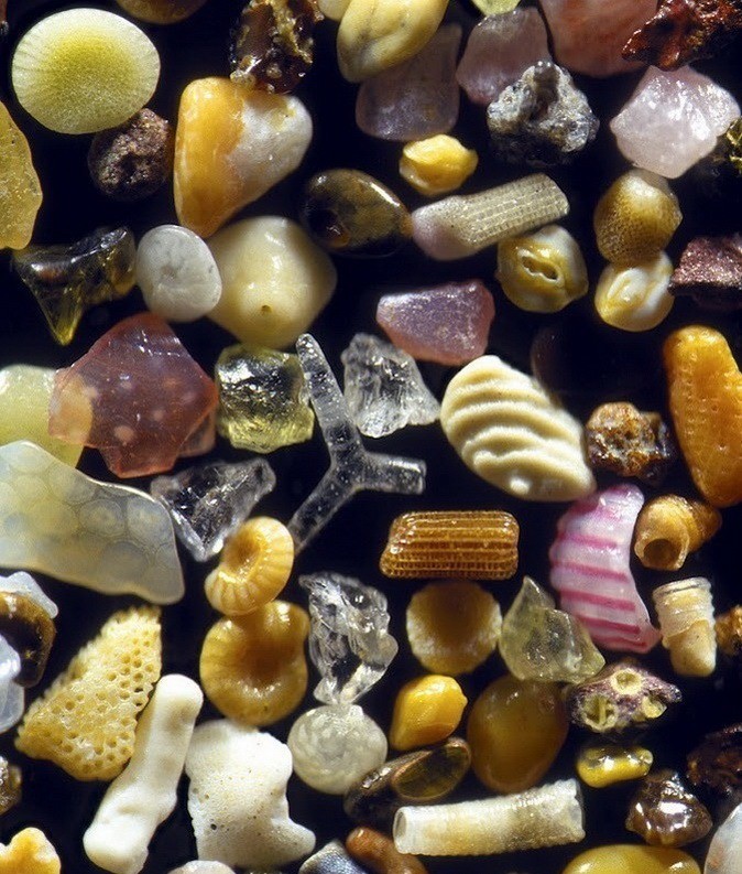 12. Песок под микроскопом