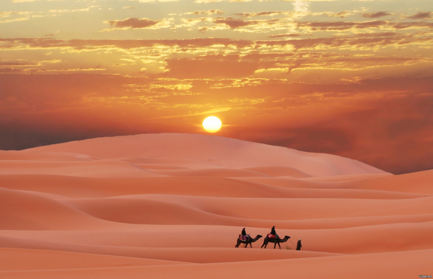 Просторы пустыни Сахара, где жарко и солнечно