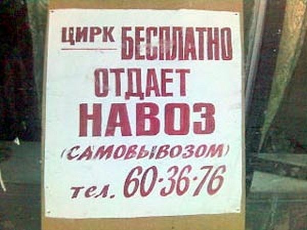 14. В 90-е годы одно из сельхозпредприятий Вологодской области попало под прицел журналистов со всего мира. Дело в том, что руководство этого колхоза выдавало своим работникам зарплату в виде навоза.