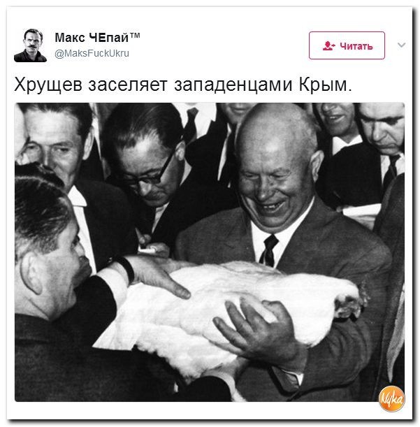 Политические коментарии соцсетей - 133