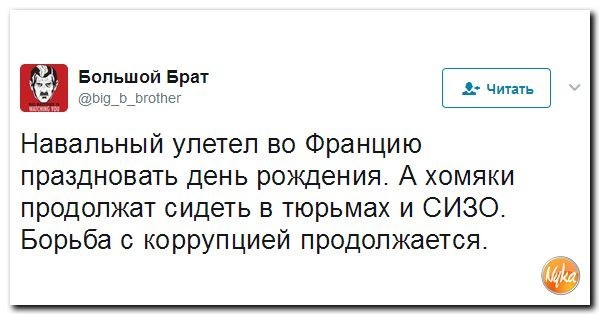 Политические коментарии соцсетей - 133