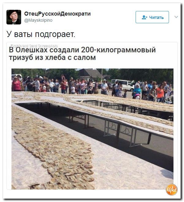 Политические коментарии соцсетей - 133