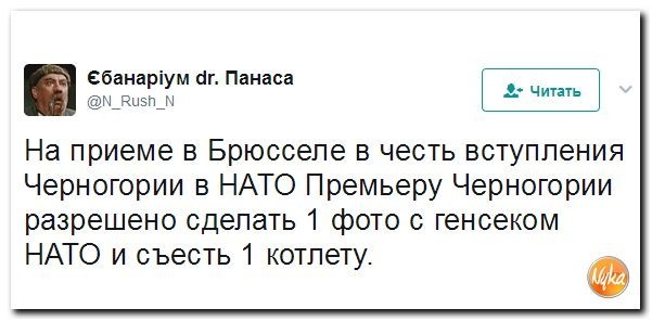 Политические коментарии соцсетей - 133