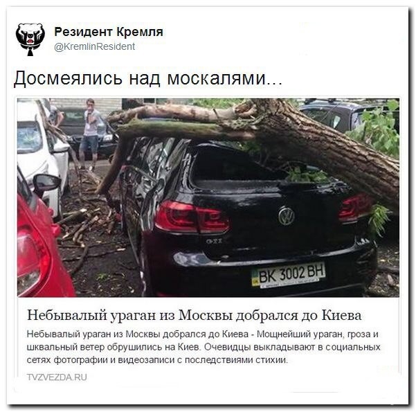 Политические коментарии соцсетей - 133