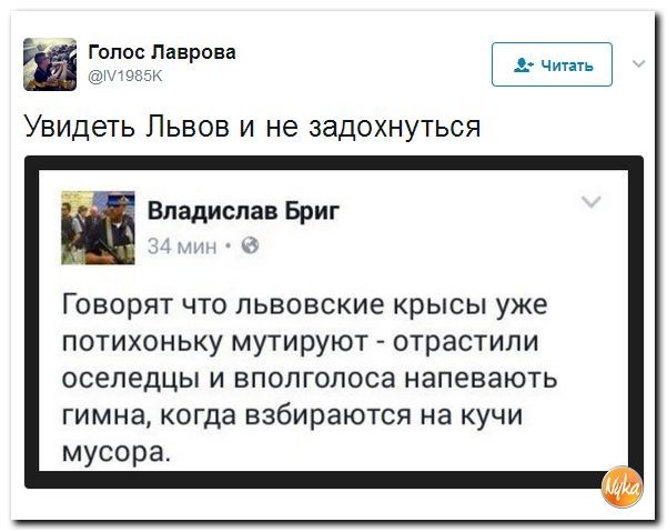 Политические коментарии соцсетей - 133