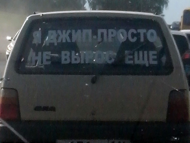 Автовсячина