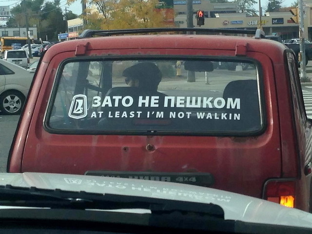 Автовсячина