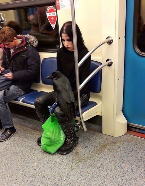 8. Певица Линда едет в метро на очередной андерграундный концерт.