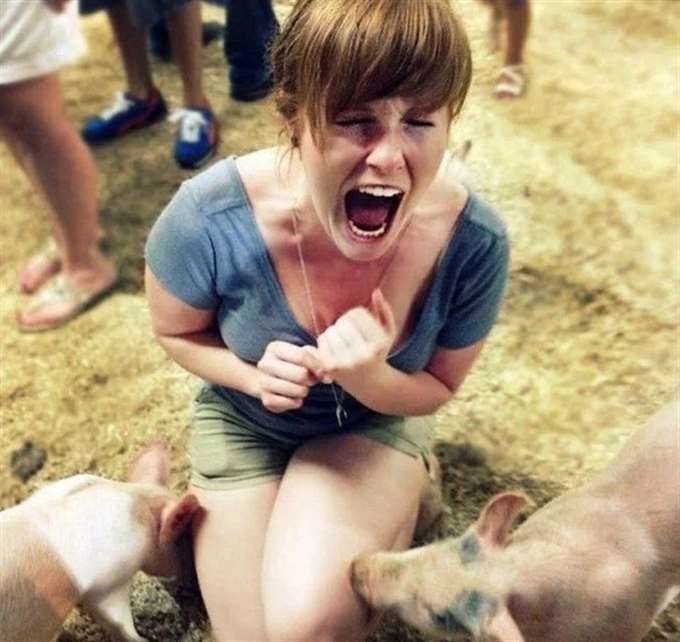 23 смешных доказательств того, что животные ненавидят женщин