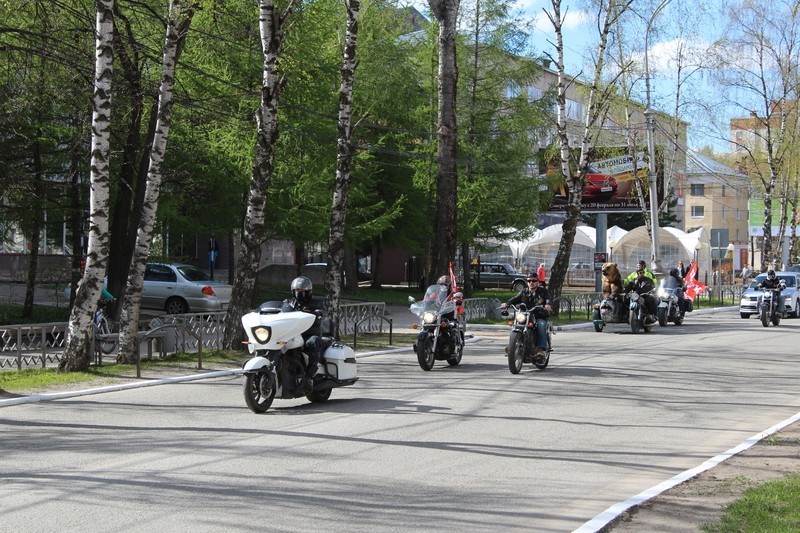 По улицам Сыктывкара в коляске мотоцикла разъезжал медведь