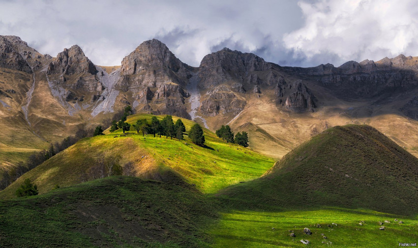 Заповедник Эрзи, Республика_Ингушетия, фото кликабельны: