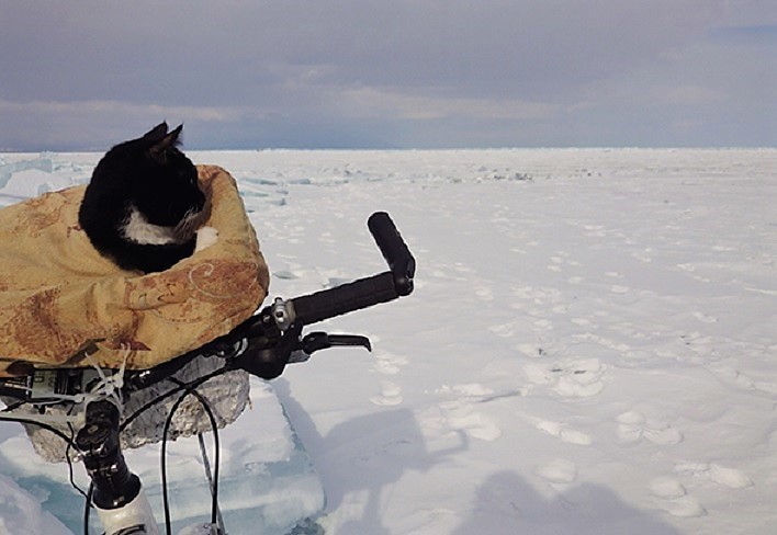 Как путешественник из Нижнего Тагила объехал Байкал на велосипеде с котом