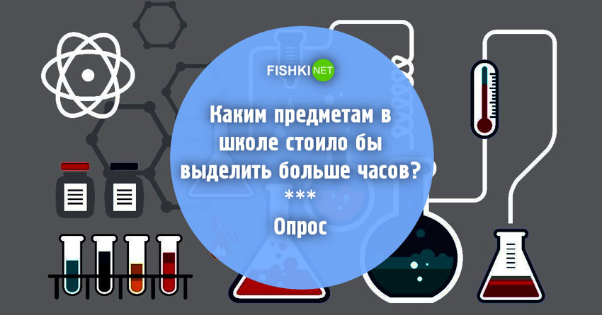 Каким предметам в школе стоило бы уделить больше внимания?