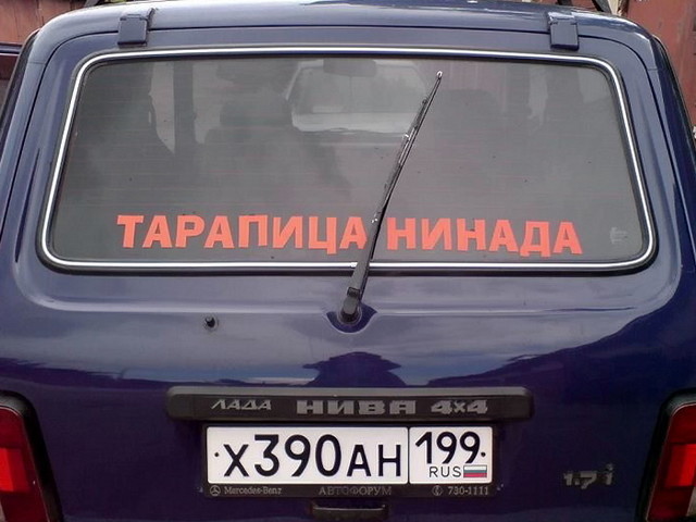 Автовсячина