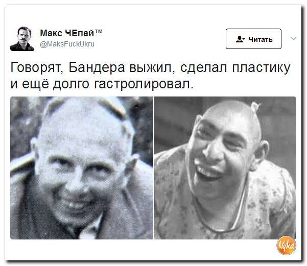 Политические коментарии соцсетей - 135