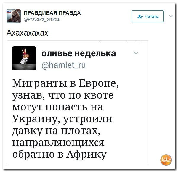 Политические коментарии соцсетей - 135