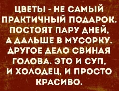 Подборка прикольных картинок из паутины