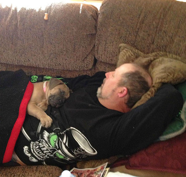 "Сразу же после того, как папа сказал, что собаке на диван нельзя"