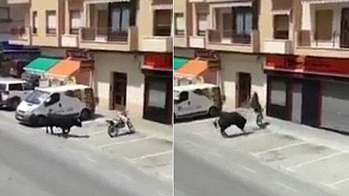 В Испании сбежавший бык отаковал припаркованный мотоцикл