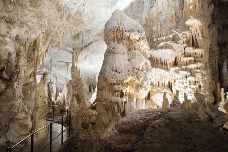 Пещера Postojna, Словения
