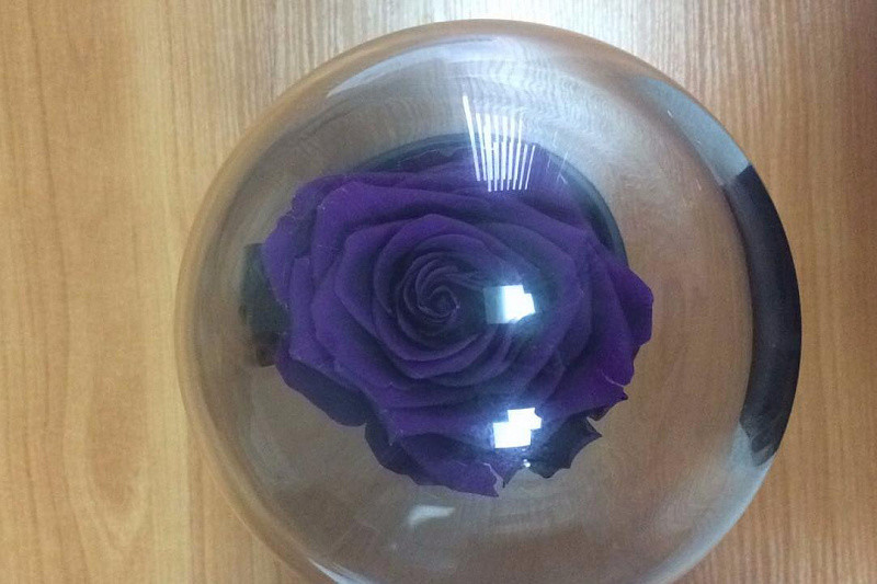 Грабитель-романтик стянул розу в колбе из столичного ТЦ