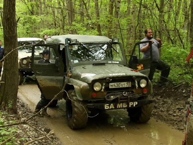 Автовсячина