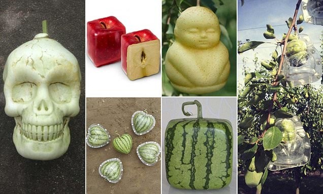 В Китае выращивают дизайнерские овощи и фрукты причудливых форм