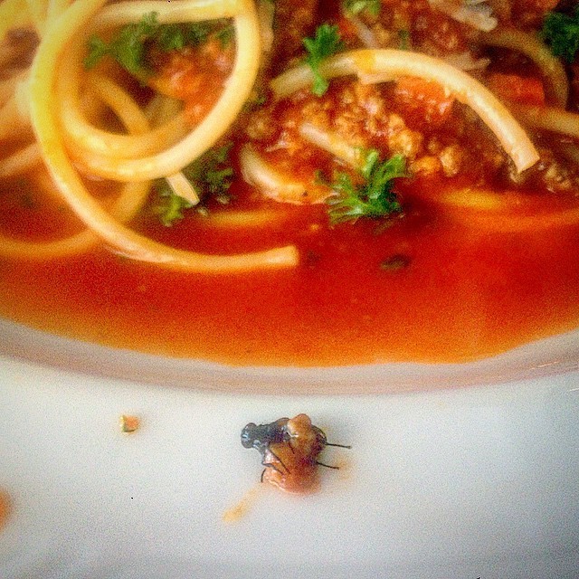 Спагетти с мухами