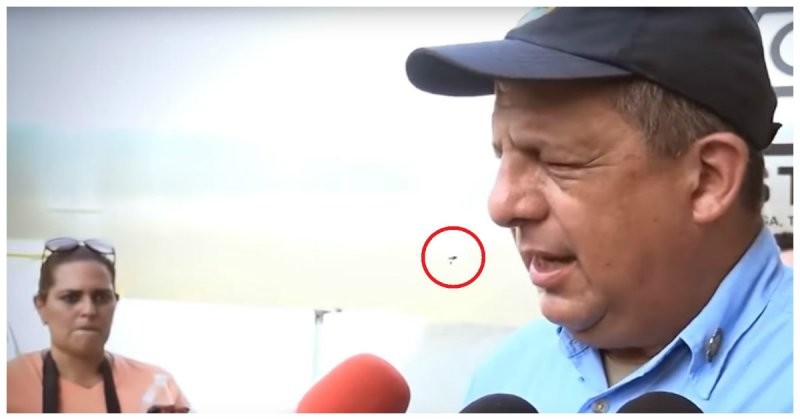 Президент Коста-Рики случайно проглотил осу во время интервью, но не запаниковал и продолжил выступление